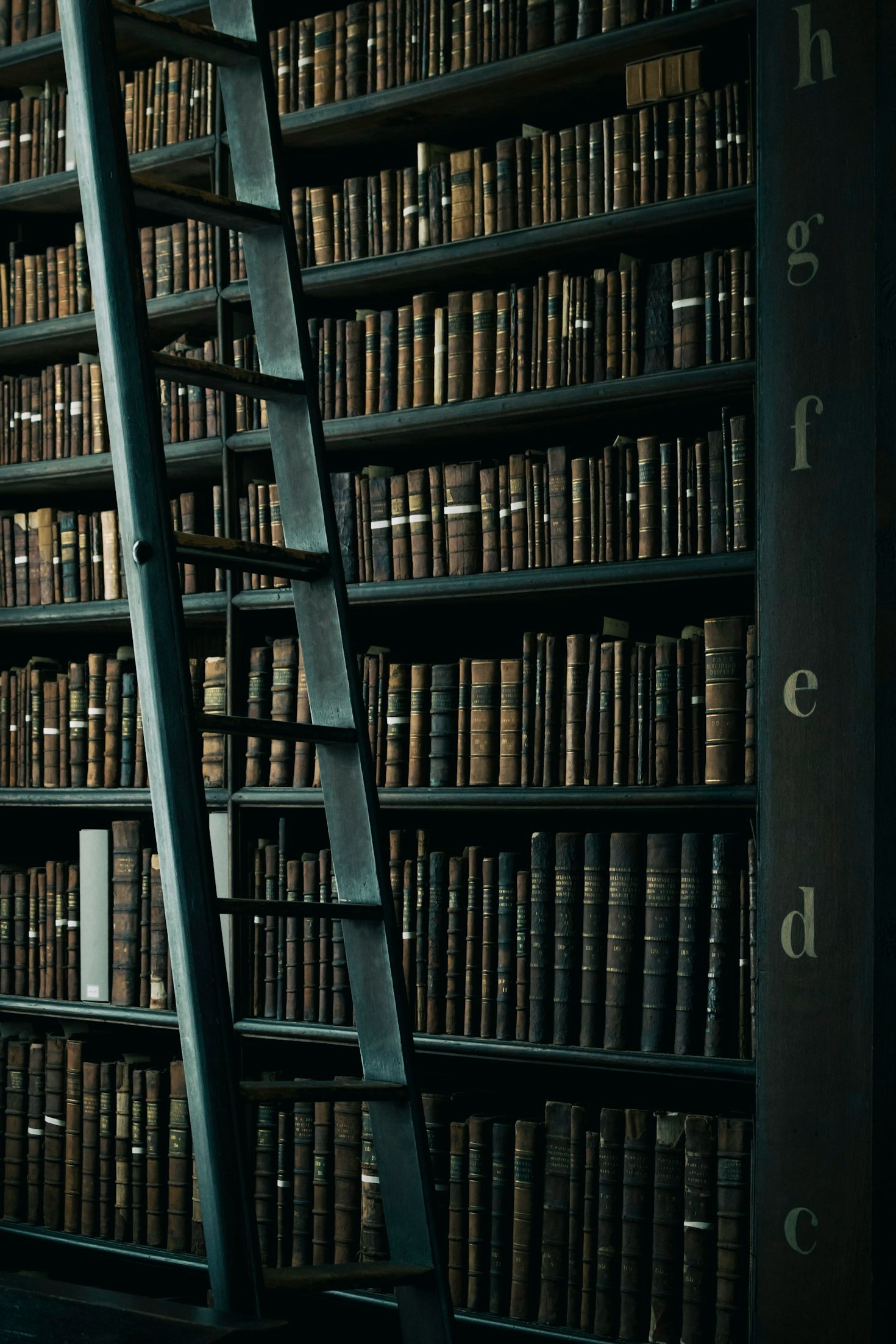 Historias que resuenan: leyendo con el corazón